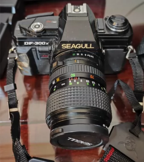 海鸥DF-300X相机，带镜头，闪光灯，保...