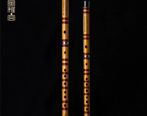 ?风雅宫王建宏笛子竹笛初学 成人 零基础精...