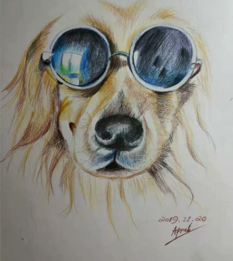 画画接稿 手绘画-人物素描肖像、静物彩铅画...