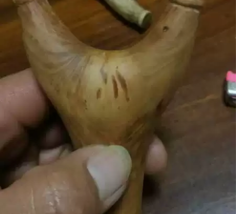 弹弓,白蜡树,尖连蕊茶尖连蕊茶树,,原树杈...