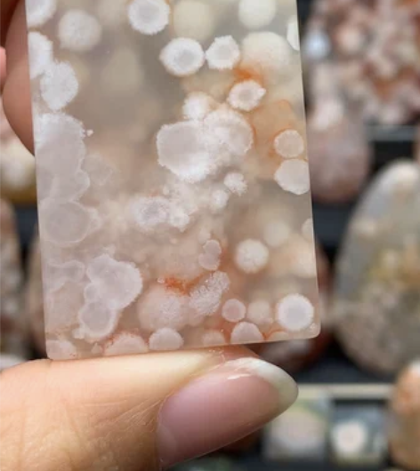 水中球 婚纱白立体成型花花红色勾边