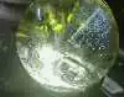 蓝针黄水晶球 金字塔的捕梦网 55mm 非...