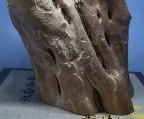 麻梨疙瘩笔筒火琉璃摆件大叶鼠李小叶鼠李根雕...