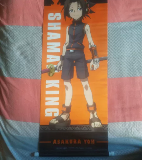 通灵王通灵童子 SHAMAN KING,全...