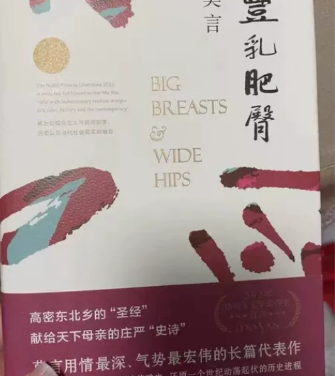 书名:《丰乳肥臀》小说（2021修订升级版...