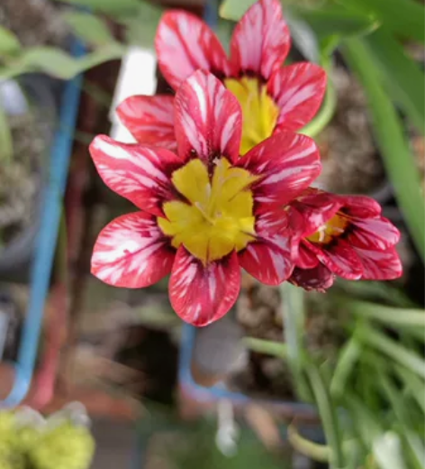 火王电热水器批发零售 感兴趣的话点“我想要...