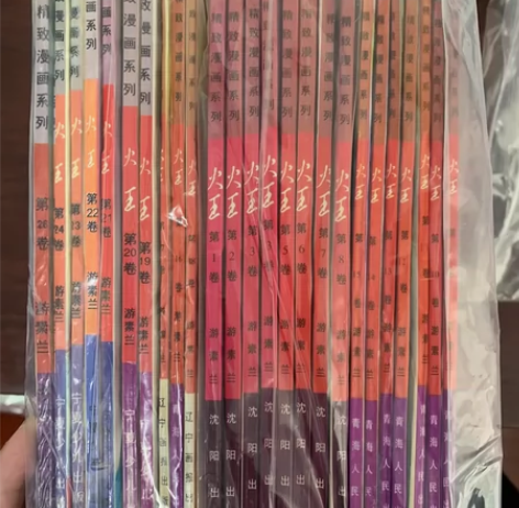 精品漫画火王.古早本全，私聊问细节图 感兴...