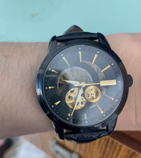 ?罗宾尼全自动机械手表男 淘宝1250买的...