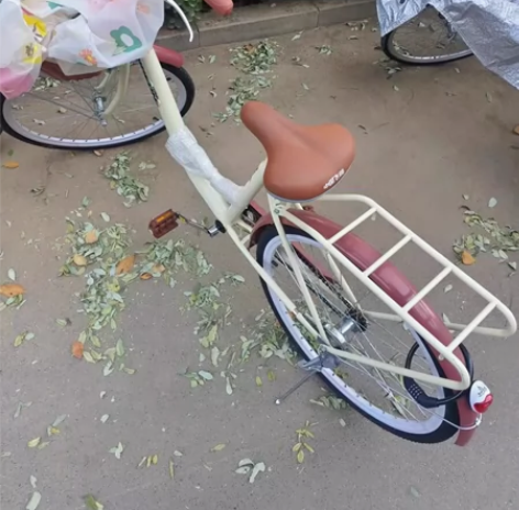 刚买的自行车，400多买的，给女朋友买的，...