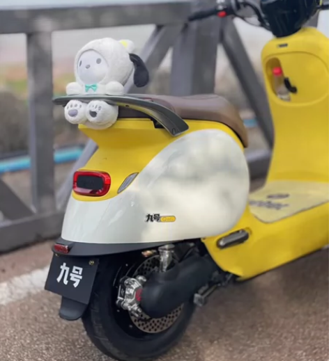 九号Q85C落地一个多月1500公里准新车...