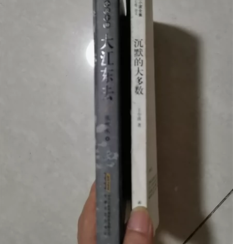 大江东去 沉默的大多数 两本 全国包邮。但...