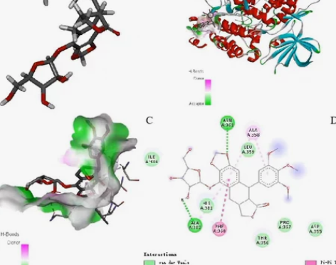 CADD+AIDD 计算机+人工智能辅助药...
