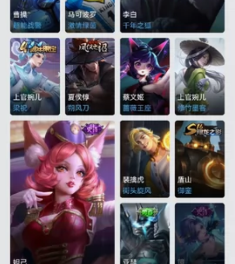 王者荣耀凤求凰，逐梦之影，猫影幻舞，飞衡，...