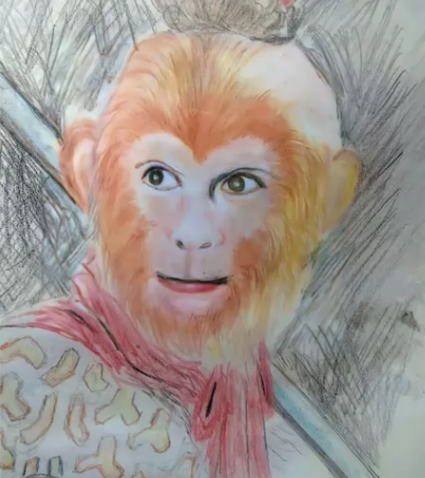 彩铅素描手绘，根据照片画人像，画好后发作品...