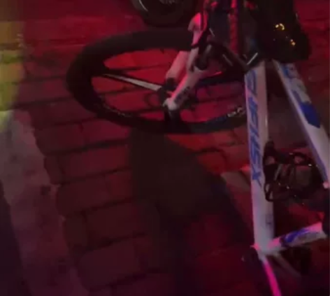 上海凤凰自行车 去年买的，入手时900多，...