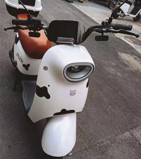 杭州同城转手新国标二手电瓶车,车子带黄牌正...
