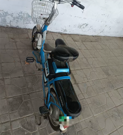 新日电动自行车，车况精品，电池够用，前后犀...