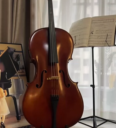 大提琴教学与陪练 音乐学院音乐表演大提琴专...