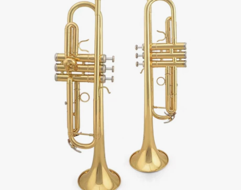 还是很新很新的。颂音琴行金音牌小号JYTR...