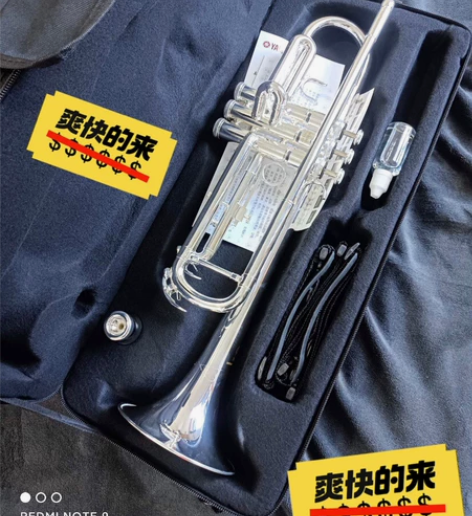 艺术生自用雅马哈小号乐器YTR-8335G...