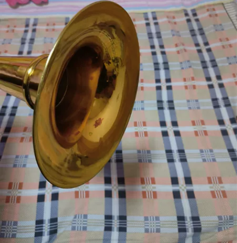 一尺五五明轩坊红花梨大唢呐，九百买的，都是...