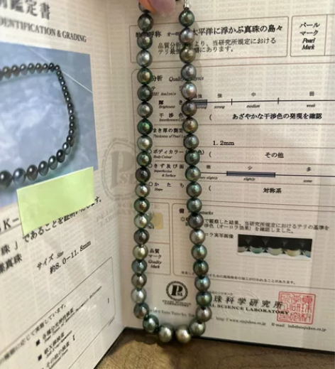 真科研大证 南太平洋漂浮岛屿 8.0-11...