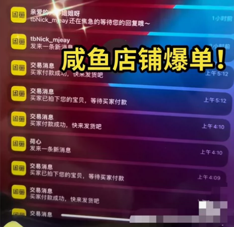 月入过万的咸鱼无货源高级进阶卖货5.1，出...