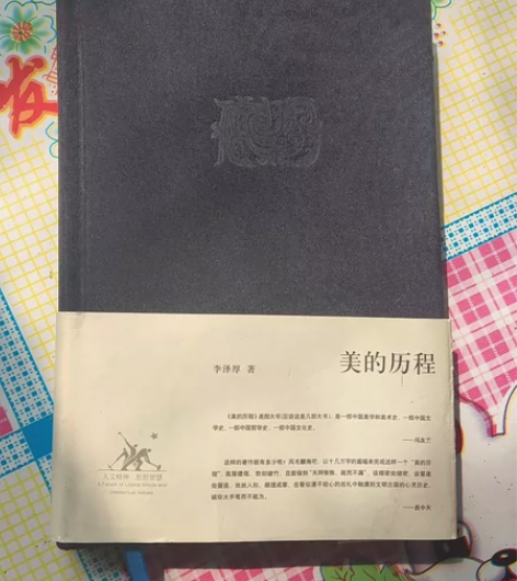 美的历程  李泽厚著   考研教材 考研用...