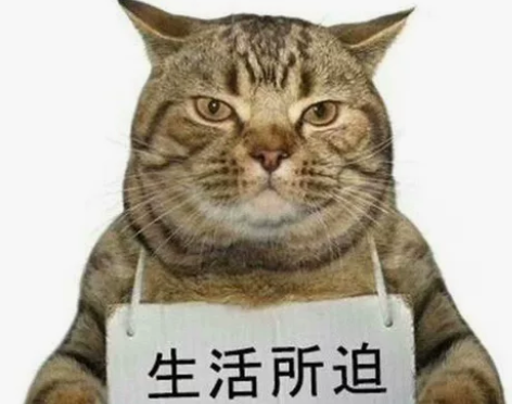 一个不务正业的托尼老师 价格150元一次，...