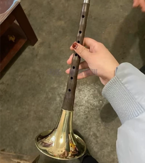 【亏本包邮】全新唢呐全套初学者专业D调门齐...