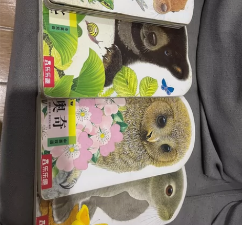 乐乐趣绘本 小兔比利童书亮丽精美触摸书4册...