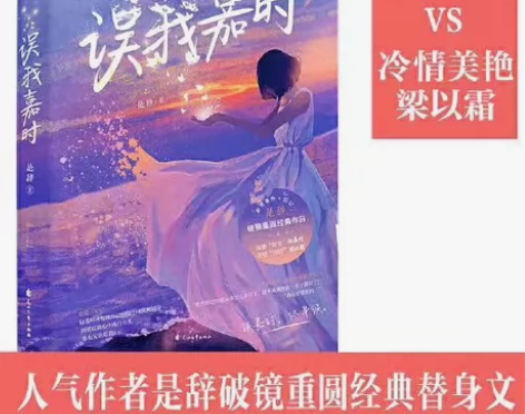 误我嘉时/青春校园言情小说 库存:需要直接...