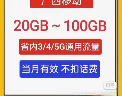 广西移动流量叠加包 20GB~100GB省...