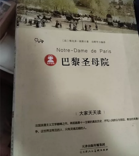 巴黎圣母院 战争与和平 傅雷家书 包邮