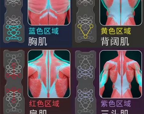 （清仓处理）俯卧撑健身板多功能俯卧撑辅助器...