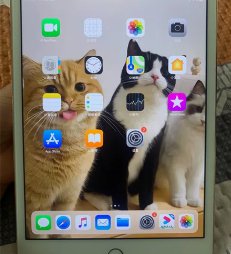 学生党出一个mini4  64g 除了图三...