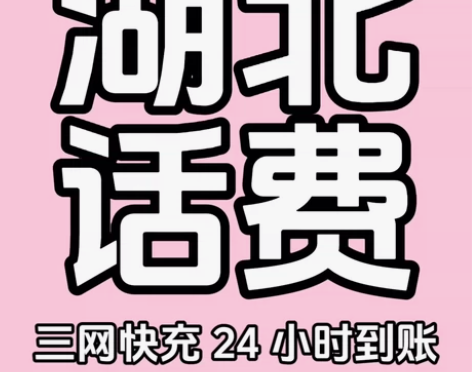 湖北地区电信 联通 移动充值到账200话费...
