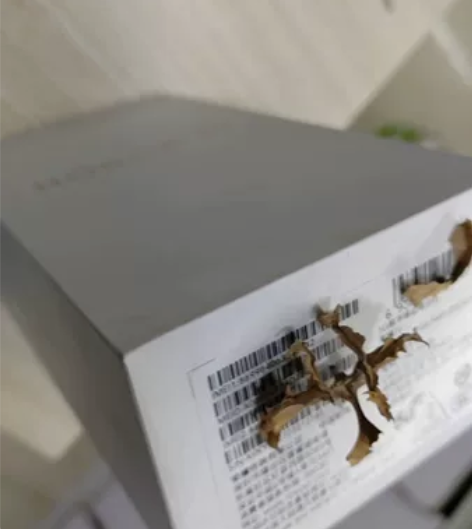 honor/荣耀 70（5G）墨玉青  1...