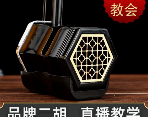 二胡乐器红木成人演奏专业紫檀木儿童初学者入...
