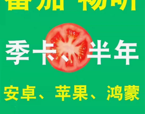 番茄畅听，月，季，年，标价一个月 不需要下...