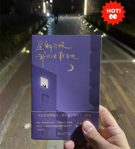 【9.6包邮】《星期六晚我们去散步吧》隔花...