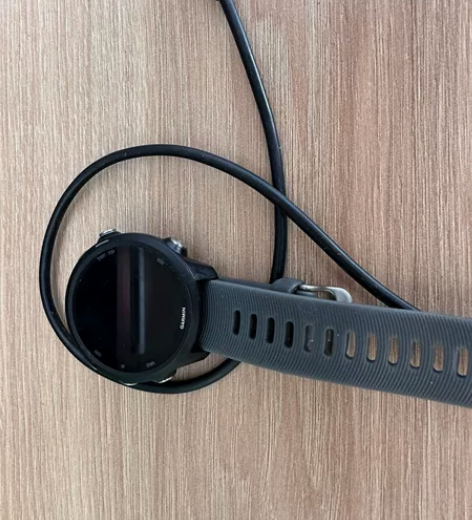佳明Garmin 245 黑色 国行中...
