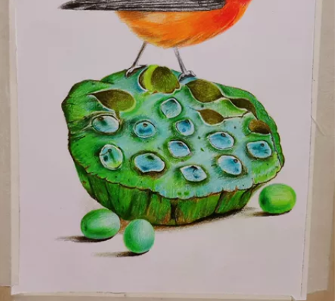 雀立莲蓬喜事临门，纯手绘彩铅画（临摹）。1...