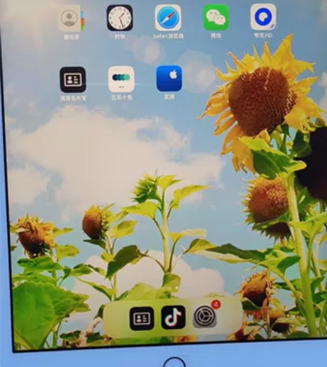 个人自用iPad2018，苹果平板，国行3...