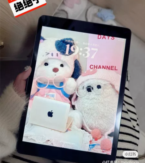 【女学生自用】【上岸了】ipad2020 ...