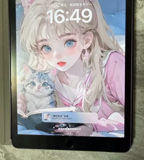 自用ipad2020款128g平板，第8代...