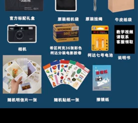 全新德国VIBE 501F相机非一次性复古...