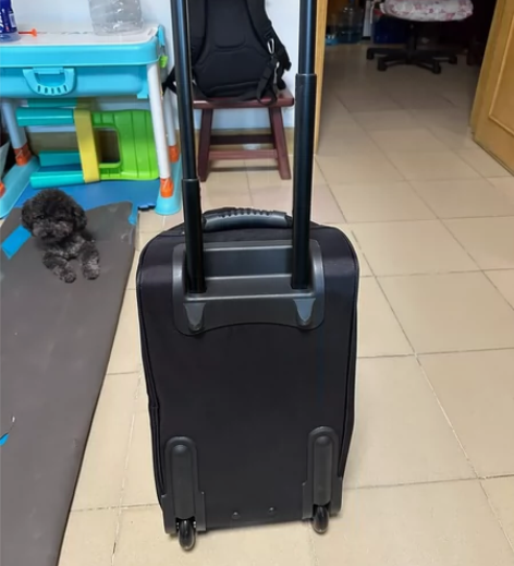 拉杆箱，可手提，可单肩背，带轮可拉着走，不...