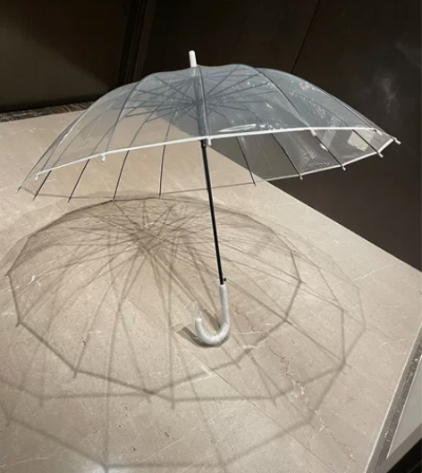 16骨透明雨伞长柄大号双人网红两用晴雨伞 ...
