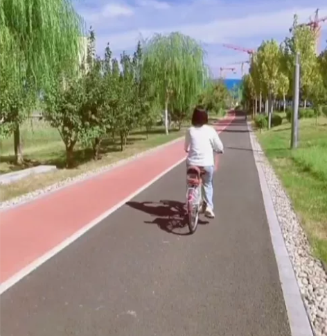 【特价】飞鸽自行车学生通勤车轻便车24寸2...